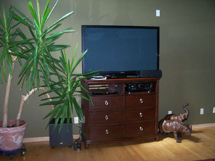 Panasonic Wide Screen TV, Decorative Elephants, Potted Plants