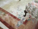 rug 12 x 9