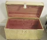 brass trunk cedar lined
