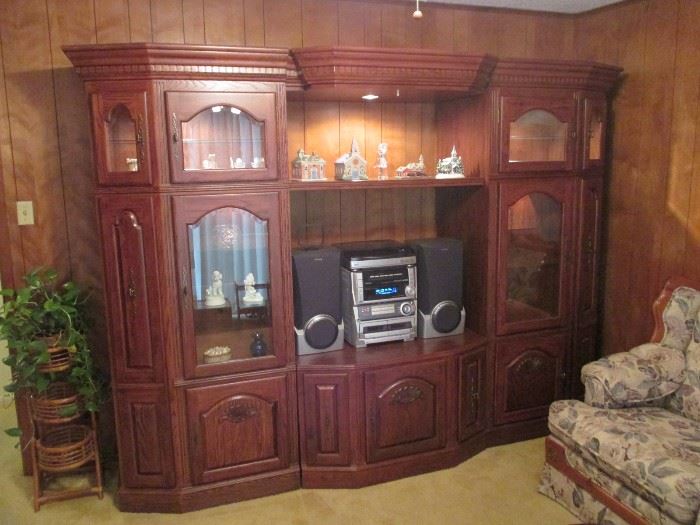 large lighted entertainment center with CD/DVD storage