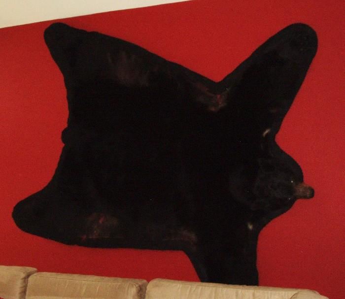 large bear skin rug with head