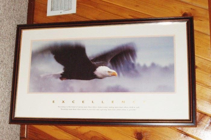 beautiful eagle print