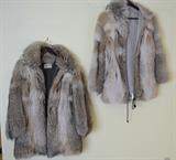 Beautiful Furs and Stoles