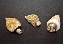 Miniature Seashell Bottles