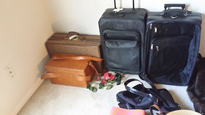 luggage, brown is leathe, 