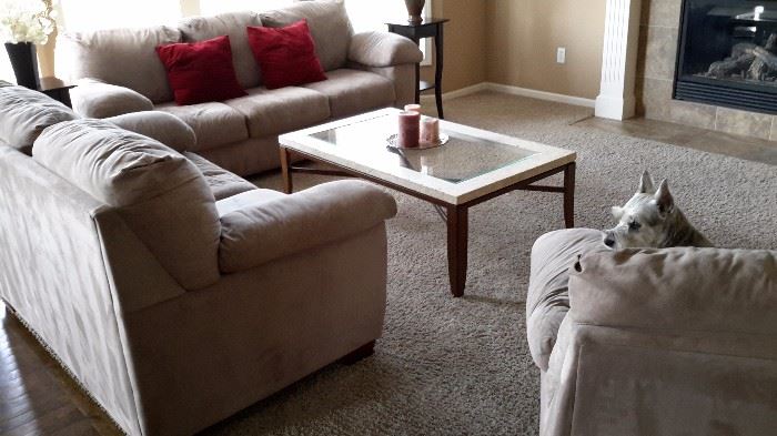 Jasper 3 piece living room set from JC Penney just professionally cleaned(dog not included) coffee table