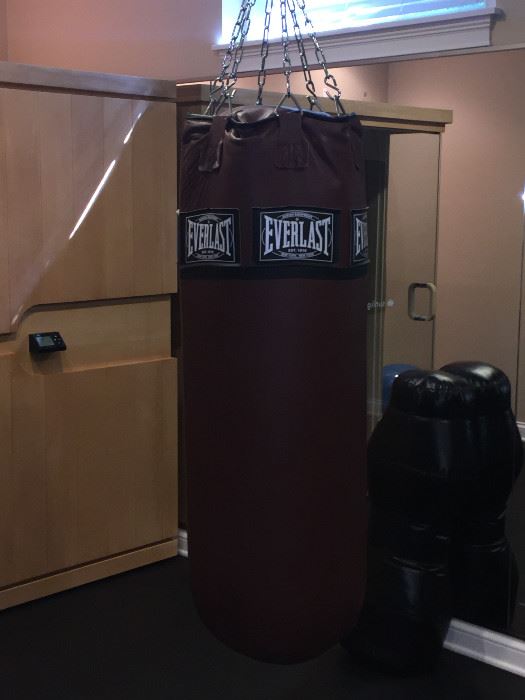 Everlast heavy bag, 150lbs asking $200.  Barely used, no marks.  Cost was $575.