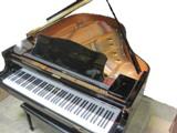 Yamaha Disklavier Piano