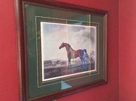 EQUESTRIAN ART PRINTS BEAUTIFULLY MATTED & FRAMED