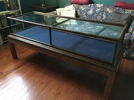 ANTIQUE COUNTERTOP SHOWCASE