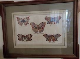 butterfly print