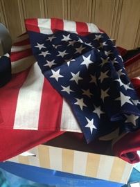 48 an 49 star flags