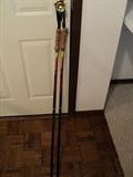 Walking sticks