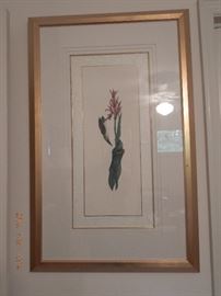 Print of a Flower in nice gold frame 20.00