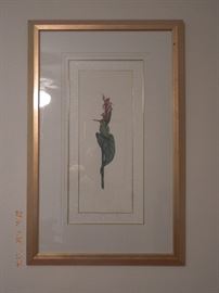 Print of a Flower in nice gold frame $20.00
