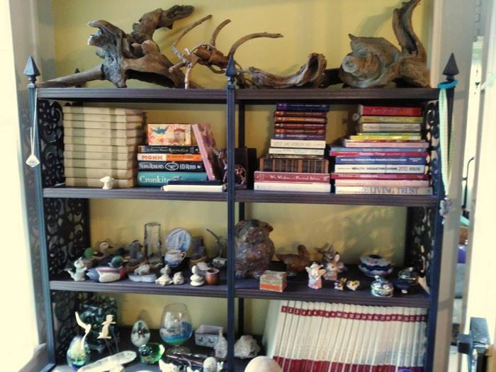 Driftwood collection and more