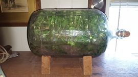 FAB terrarium in a bottle