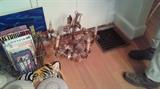 5 arm antique Chandelier