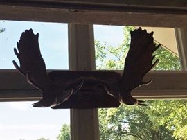 Moose Antlers