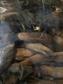 Individual pieces of driftwood