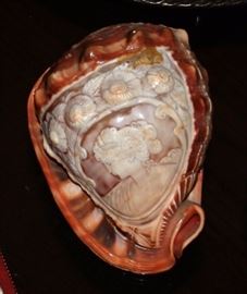 Carved Shell