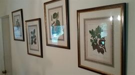 Lithograph pictures - Anst. Ebenhusen & Eckstein, Stuttgant