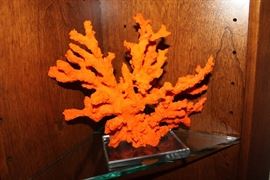 Orange coral.