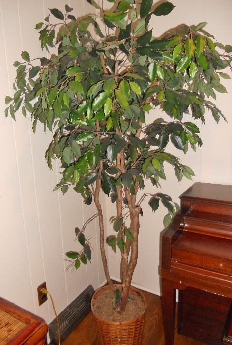 Faux ficus tree