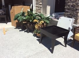 Plants and end tables