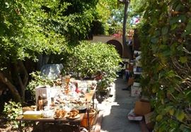 More Back Yard