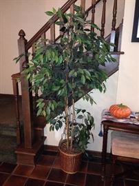 Numerous faux plants can't be beat or killed!