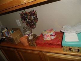 DSCI9548  Copy  Copy