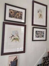 Nicely framed/matted hummingbird prints (there are 3) + a pair of framed/matted original photographs, by the home owner.