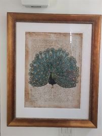 Show me your peacock! Nicely framed/matted print.