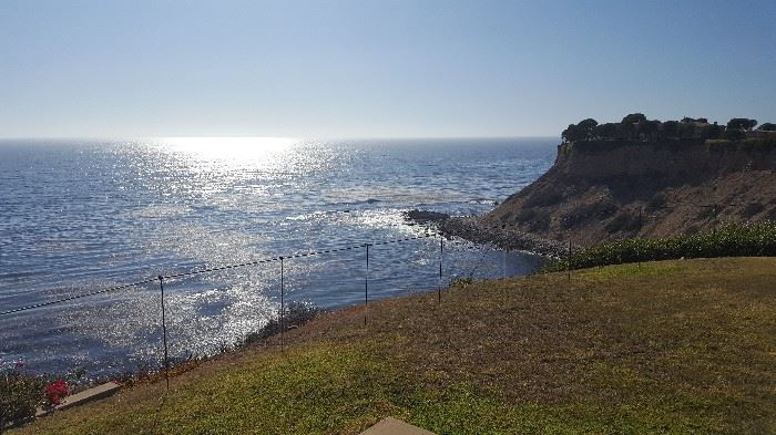 The view from the living room of the Werely Estate.