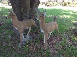Concrete Deer (life size - one has damage) $ 120.00 for the pair