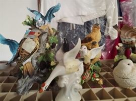 bird collection
