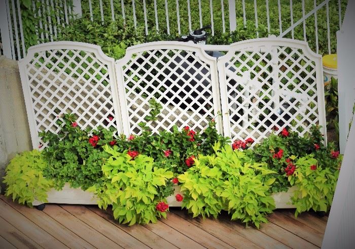 3 beautiful outdoor trellis dividers each filled with plants.