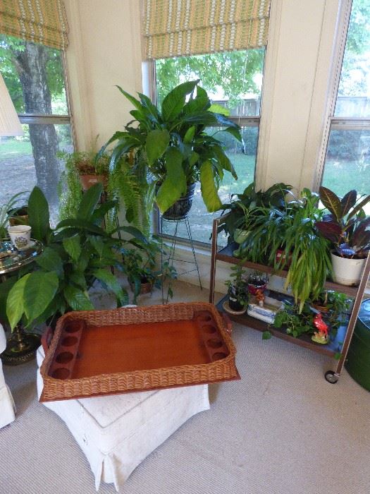 Unusual wicker serving tray, more house plants