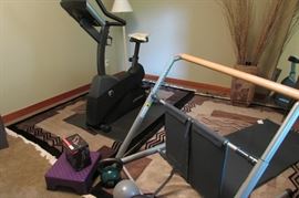 Ballet Bar Fluidity, Life Fitness Bike & 2 matching wool contemporary rugs