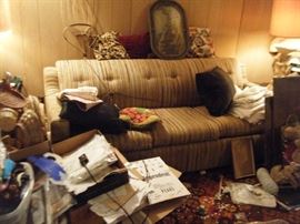 MORGAN HERSHMAN PULL OUT SOFA