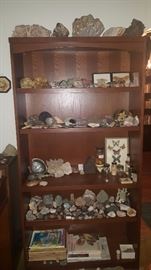 Crystals, Minerals, Geodes, Rocks, Coral, Insects, Skulls