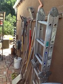 Gardening tools, ladder