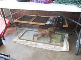 glass pet tank 
