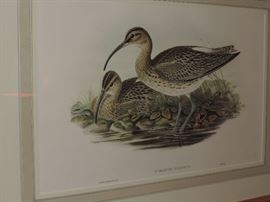 Gould Print