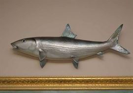Taxidermy Fish Mount
