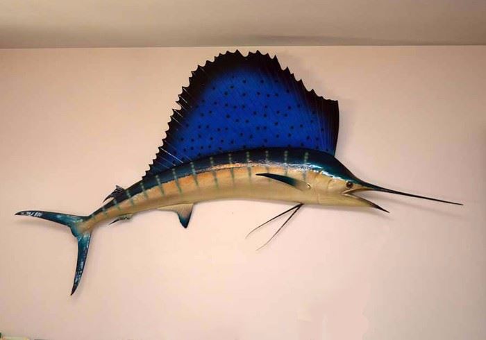 Taxidermy Fish Mount (Marlin)