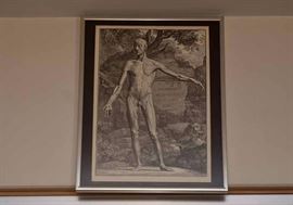 Vintage Anatomy Prints, Framed