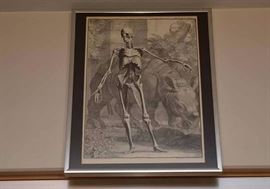 Vintage Anatomy Prints, Framed