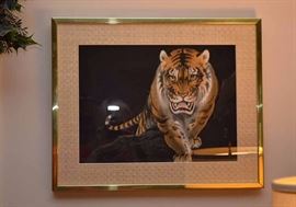 Framed Asia Tiger Artwork